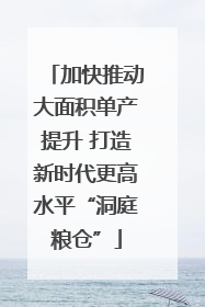 加快推动大面积单产提升 打造新时代更高水平“洞庭粮仓”