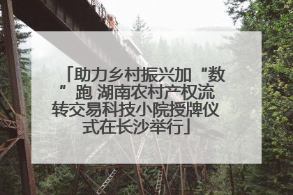助力乡村振兴加“数”跑 湖南农村产权流转交易科技小院授牌仪式在长沙举行