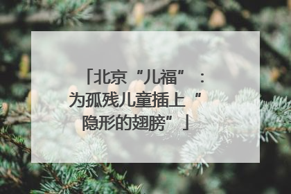 北京“儿福”：为孤残儿童插上“隐形的翅膀”