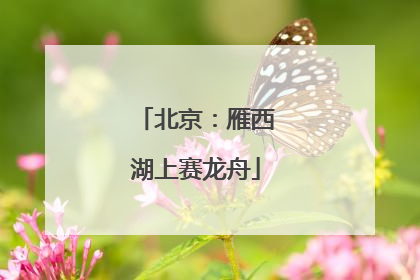 北京：雁西湖上赛龙舟