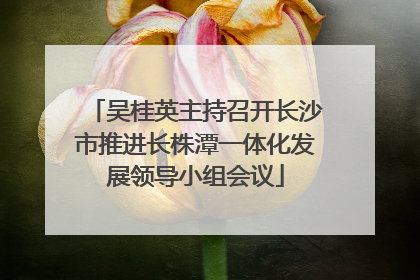 吴桂英主持召开长沙市推进长株潭一体化发展领导小组会议