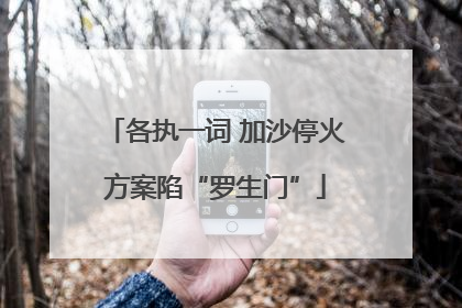 各执一词 加沙停火方案陷“罗生门”