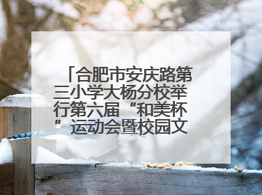 合肥市安庆路第三小学大杨分校举行第六届“和美杯”运动会暨校园文化艺术节