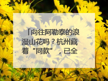 向往阿勒泰的浪漫山花吗？杭州藏着“同款”，已全面进入盛花期