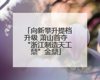 向新攀升提档升级 萧山首夺“浙江制造天工鼎”金鼎