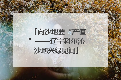 向沙地要“产值”——辽宁科尔沁沙地兴绿见闻
