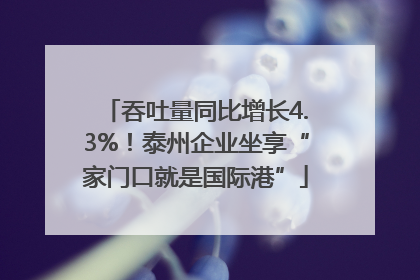 吞吐量同比增长4.3%！泰州企业坐享“家门口就是国际港”