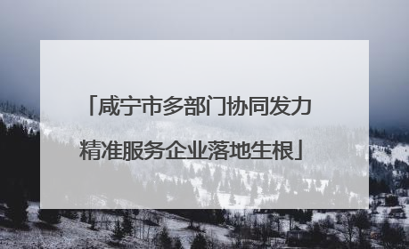 咸宁市多部门协同发力 精准服务企业落地生根