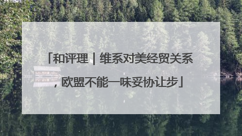 和评理｜维系对美经贸关系，欧盟不能一味妥协让步