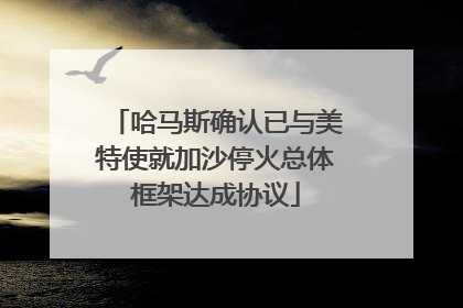 哈马斯确认已与美特使就加沙停火总体框架达成协议