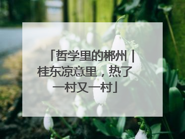 哲学里的郴州｜桂东凉意里，热了一村又一村