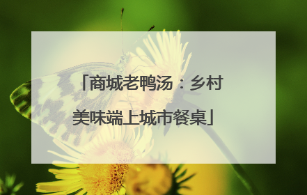商城老鸭汤：乡村美味端上城市餐桌
