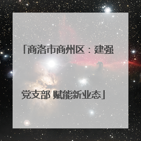 商洛市商州区：建强党支部 赋能新业态