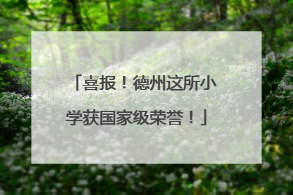 喜报！德州这所小学获国家级荣誉！