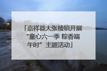 嘉祥县大张楼镇开展“童心六一季 粽香端午时”主题活动