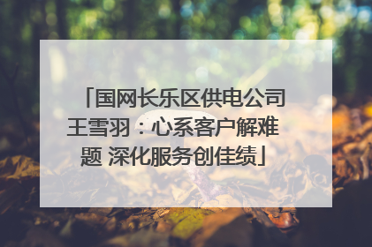 国网长乐区供电公司王雪羽：心系客户解难题 深化服务创佳绩