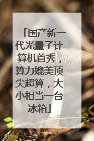 国产新一代光量子计算机首秀，算力媲美顶尖超算，大小相当一台冰箱