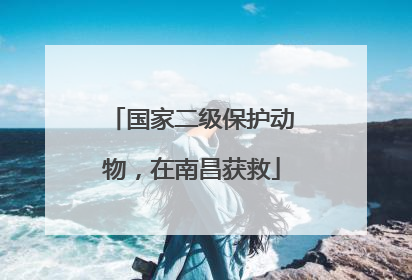 国家二级保护动物，在南昌获救