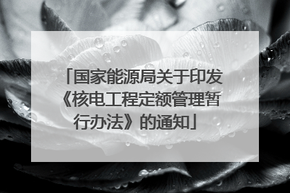 国家能源局关于印发《核电工程定额管理暂行办法》的通知