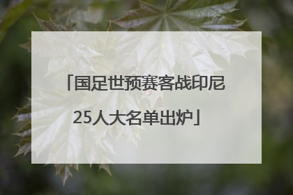 国足世预赛客战印尼25人大名单出炉