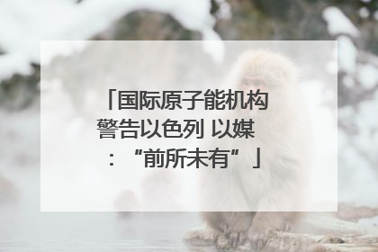 国际原子能机构警告以色列 以媒：“前所未有”
