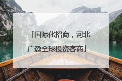国际化招商，河北广邀全球投资客商