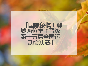 国际象棋！聊城两位学子晋级第十五届全国运动会决赛