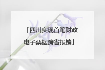 四川实现首笔财政电子票据跨省报销