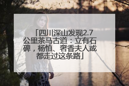 四川深山发现2.7公里茶马古道：立有石碑，杨慎、奢香夫人或都走过这条路