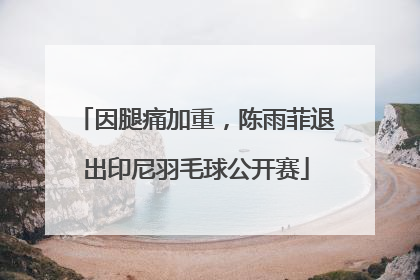 因腿痛加重，陈雨菲退出印尼羽毛球公开赛