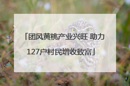 团风黄桃产业兴旺 助力127户村民增收致富