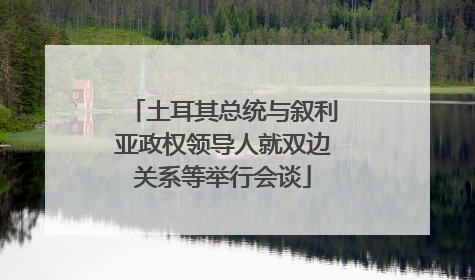 土耳其总统与叙利亚政权领导人就双边关系等举行会谈