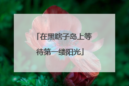 在黑瞎子岛上等待第一缕阳光