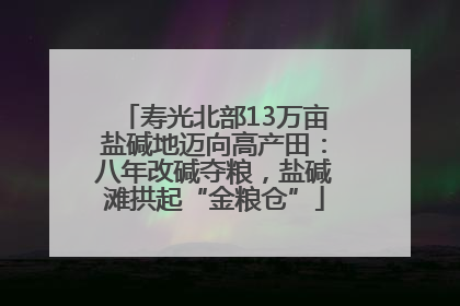 寿光北部13万亩盐碱地迈向高产田：八年改碱夺粮，盐碱滩拱起“金粮仓”
