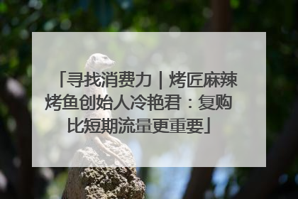 寻找消费力｜烤匠麻辣烤鱼创始人冷艳君：复购比短期流量更重要