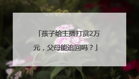 孩子给主播打赏2万元，父母能追回吗？