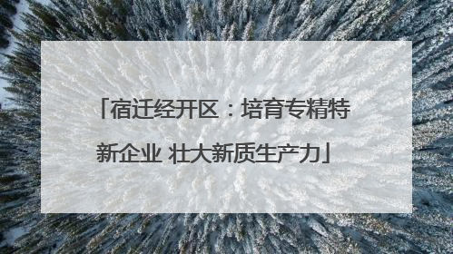 宿迁经开区：培育专精特新企业 壮大新质生产力