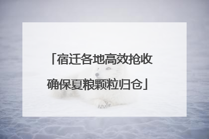 宿迁各地高效抢收 确保夏粮颗粒归仓
