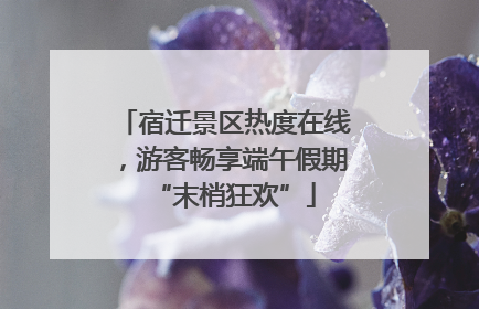 宿迁景区热度在线，游客畅享端午假期“末梢狂欢”