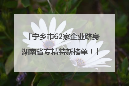 宁乡市62家企业跻身湖南省专精特新榜单！