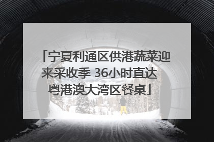 宁夏利通区供港蔬菜迎来采收季 36小时直达粤港澳大湾区餐桌