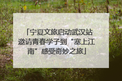 宁夏文旅启动武汉站 邀请青春学子到“塞上江南”感受奇妙之旅