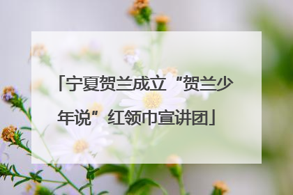 宁夏贺兰成立“贺兰少年说”红领巾宣讲团