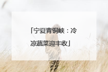 宁夏青铜峡：冷凉蔬菜迎丰收