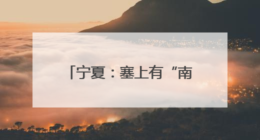 宁夏：塞上有“南果” 四季别样香