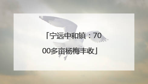 宁远中和镇：7000多亩杨梅丰收