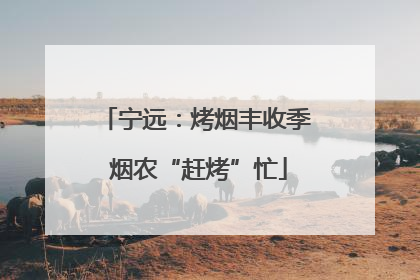宁远：烤烟丰收季 烟农“赶烤”忙