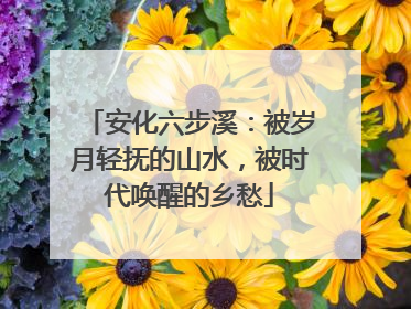 安化六步溪：被岁月轻抚的山水，被时代唤醒的乡愁