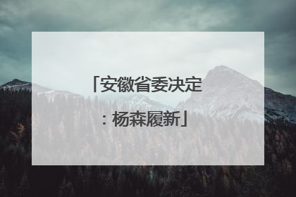 安徽省委决定：杨森履新