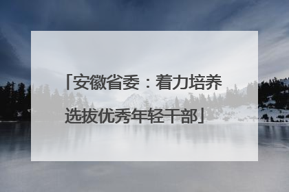 安徽省委：着力培养选拔优秀年轻干部